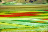 Castelluccio-0607.jpg