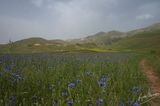 Castelluccio-0619.jpg