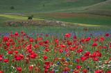 Castelluccio-0628.jpg