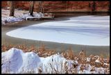 Winter at the Dock