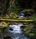 <br>Racine Erland<br>April 2025<br>Mountain Stream