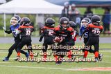 IMG_3641.jpg