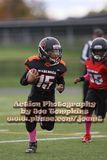 IMG_4382.jpg