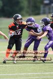 IMG_4855.jpg
