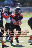 IMG_5420.jpg