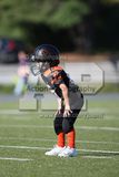 IMG_5542.jpg