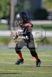 IMG_5569.jpg