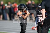 IMG_5599.jpg