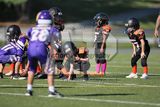 IMG_5642.jpg