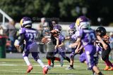 IMG_5648.jpg