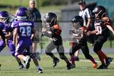 IMG_5694.jpg