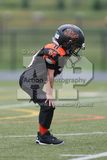 IMG_6125.jpg