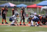 IMG_6162.jpg