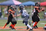 IMG_6179.jpg