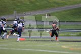 IMG_6210.jpg