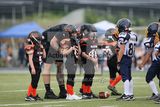 IMG_6212.jpg