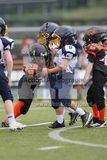 IMG_6229.jpg