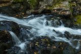 Owen Pond Trail 1