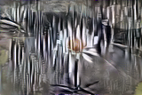 o (3).png