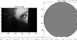 xx1 (3).png