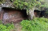 IMG_2737.jpeg