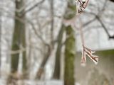 IMG_3204.jpeg