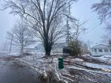 IMG_3250.jpeg
