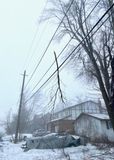 IMG_3253.jpeg