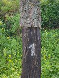 IMG_4806.jpeg