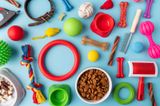 What to Consider When Picking Out Cat Toys?