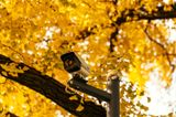 How Do You Choose the Best CCTV with Thermal Imaging?