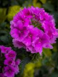 IMG_1120.jpeg