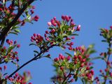 DSC04017.JPG