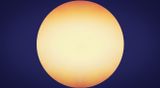 shine