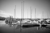 State Marina - Morro Bay