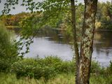 Flambeau River 