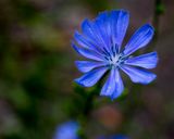 IMG_1436