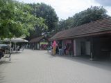 IMG_6053.JPG