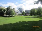 IMG_6546.JPG