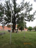 IMG_6897.JPG
