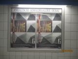 IMG_6869.JPG