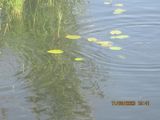IMG_7302.JPG