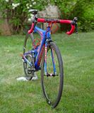 IMG_9168.jpg