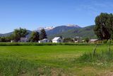 IMG_8581.jpg