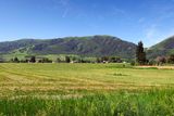 IMG_8584.jpg