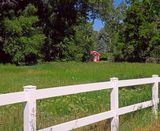 IMG_8589.jpg