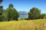 IMG_8719.jpg
