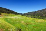 IMG_8737.jpg