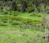 IMG_8746.jpg