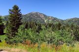 IMG_8751.jpg